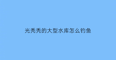 光秃秃的大型水库怎么钓鱼(水库大v)