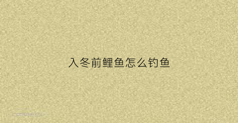入冬前鲤鱼怎么钓鱼(立冬前后鲤鱼用什么饵)