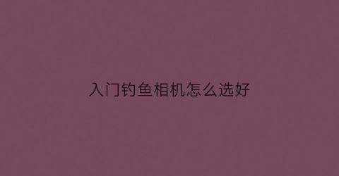 入门钓鱼相机怎么选好(钓鱼摄像机推荐)