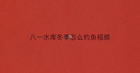 八一水库冬季怎么钓鱼视频(八一水库怎么收费)