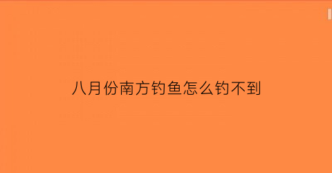 八月份南方钓鱼怎么钓不到