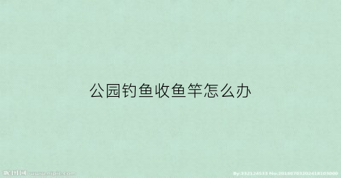 公园钓鱼收鱼竿怎么办(公园钓鱼用什么鱼竿)