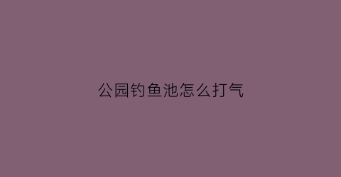 公园钓鱼池怎么打气(钓鱼池怎么赚钱)