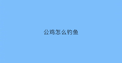 公鸡怎么钓鱼