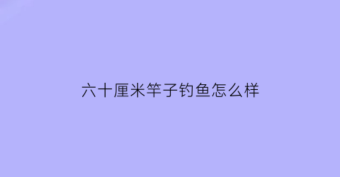 六十厘米竿子钓鱼怎么样(野钓60厘米的浮漂怎么样)