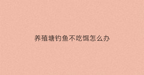 养殖塘钓鱼不吃饵怎么办(养殖塘钓鱼不吃饵怎么办视频)