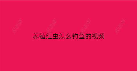 “养殖红虫怎么钓鱼的视频(红虫怎么养殖基地)