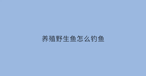 养殖野生鱼怎么钓鱼(野生鱼养殖需要什么手续)