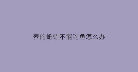 养的蚯蚓不能钓鱼怎么办(蚯蚓不好养)