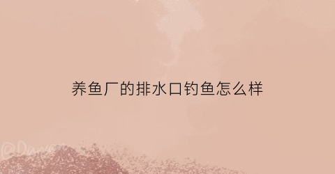 “养鱼厂的排水口钓鱼怎么样(养鱼池排水口设计视频)