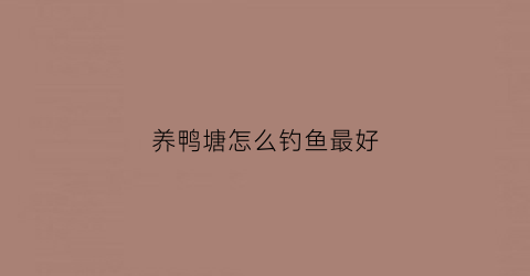 养鸭塘怎么钓鱼最好(养鸭鱼塘怎么钓鱼)
