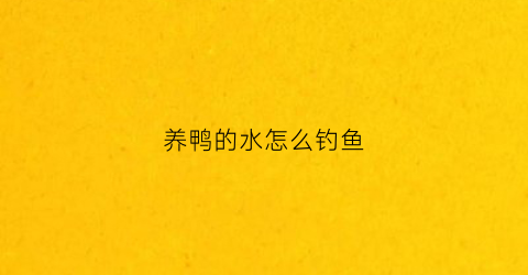 养鸭的水怎么钓鱼(养过鸭子的水塘怎么钓鱼)