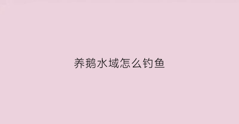 养鹅水域怎么钓鱼(养鹅水域怎么钓鱼视频)