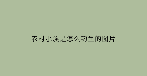 “农村小溪是怎么钓鱼的图片(小溪里怎么钓鱼)