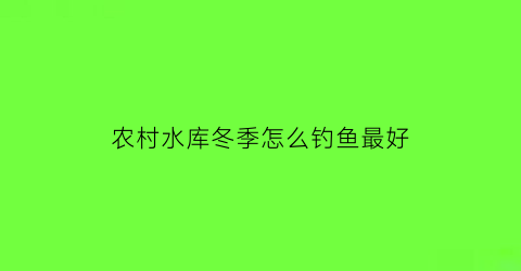 农村水库冬季怎么钓鱼最好(冬季水库怎么钓大鱼)