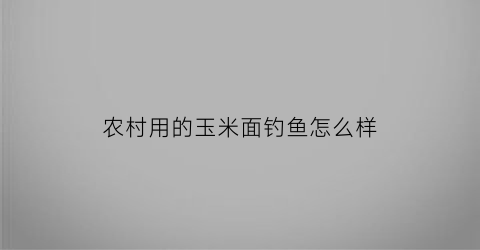农村用的玉米面钓鱼怎么样(如何用玉米面钓鱼)