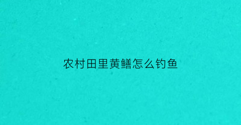 农村田里黄鳝怎么钓鱼(田里钓黄鳝怎样找洞口)