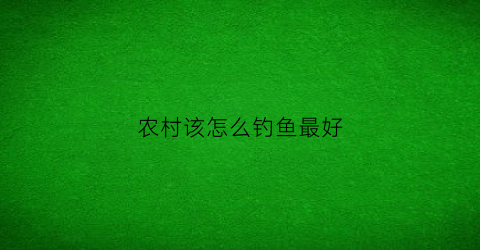 农村该怎么钓鱼最好(农村钓鱼怎么吸引人来)