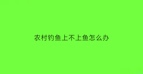 “农村钓鱼上不上鱼怎么办(在农村钓鱼选什么饵料)