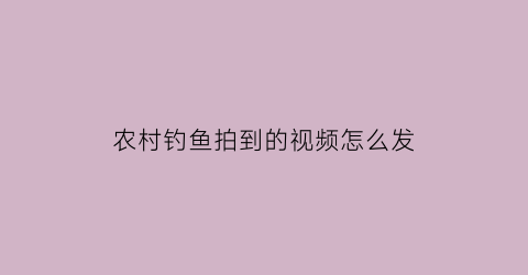 农村钓鱼拍到的视频怎么发(农村钓鱼拍到的视频怎么发抖音)