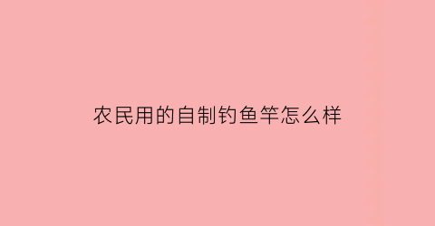 农民用的自制钓鱼竿怎么样(用自制鱼竿钓鱼的视频)