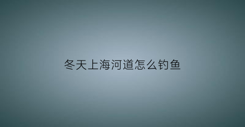 “冬天上海河道怎么钓鱼(上海冬天路亚可以钓什么鱼)