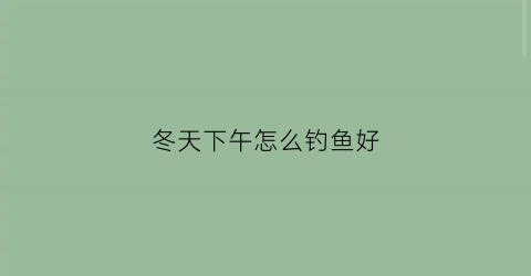 冬天下午怎么钓鱼好(冬天下午怎么钓鱼好呢)