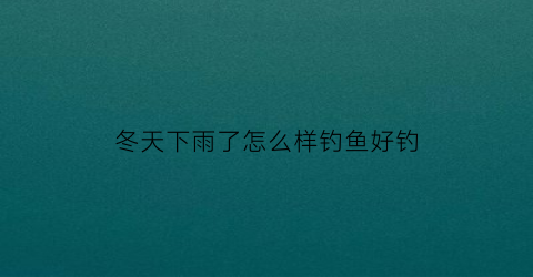 冬天下雨了怎么样钓鱼好钓(冬天下雨了怎么样钓鱼好钓呢)