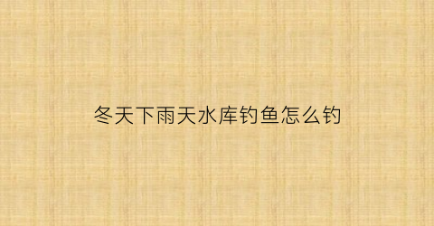 冬天下雨天水库钓鱼怎么钓(冬天下雨水库能钓鱼吗)