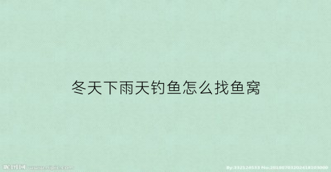 冬天下雨天钓鱼怎么找鱼窝(冬天下雨天钓鱼怎么找鱼窝呢)