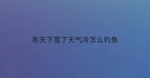 冬天下雪了天气冷怎么钓鱼(冬天下完雪好钓鱼吗)