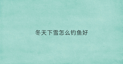 冬天下雪怎么钓鱼好(冬天下雪钓鱼好钓吗)