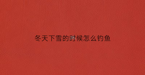 冬天下雪的时候怎么钓鱼(下雪天如何钓鱼)