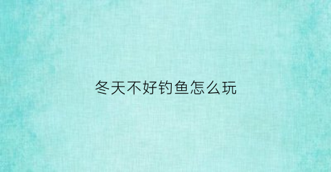 冬天不好钓鱼怎么玩