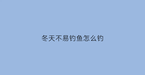 冬天不易钓鱼怎么钓