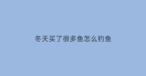 冬天买了很多鱼怎么钓鱼(冬天钓鱼小鱼太多怎么办)
