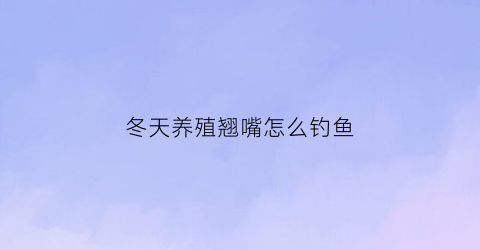 冬天养殖翘嘴怎么钓鱼(冬天翘嘴还开口吗)