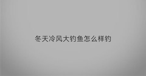 冬天冷风大钓鱼怎么样钓