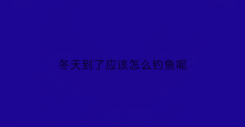 冬天到了应该怎么钓鱼呢