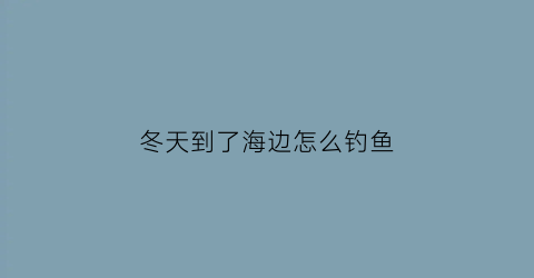 冬天到了海边怎么钓鱼(冬天海边钓鱼怎么钓)
