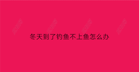 冬天到了钓鱼不上鱼怎么办(入冬钓不到鱼)