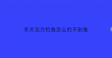 “冬天北方钓鱼怎么钓不到鱼(北方天冷钓鱼怎么钓)