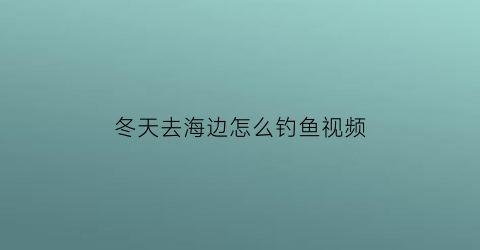 冬天去海边怎么钓鱼视频