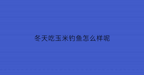 冬天吃玉米钓鱼怎么样呢