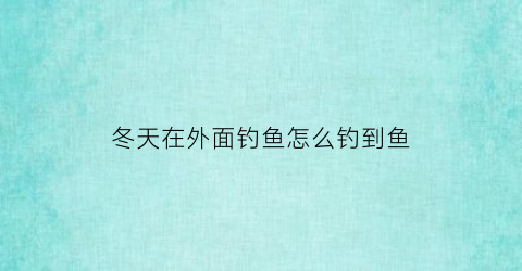 “冬天在外面钓鱼怎么钓到鱼(冬天怎么钓鱼怎么找鱼)