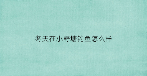 冬天在小野塘钓鱼怎么样(冬天水塘钓鱼技巧野鱼)