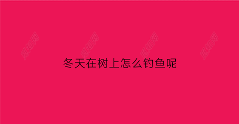 冬天在树上怎么钓鱼呢(冬天树上会掉树脂吗)