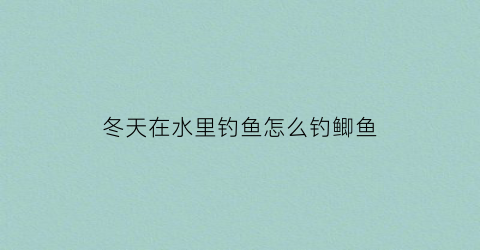 冬天在水里钓鱼怎么钓鲫鱼(冬天钓鱼水下视频)