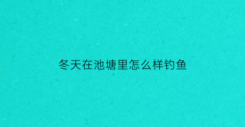 “冬天在池塘里怎么样钓鱼(冬天在池塘里怎么样钓鱼好)