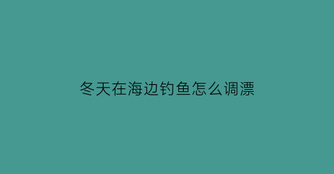 冬天在海边钓鱼怎么调漂(冬天海边钓鱼用什么鱼饵)